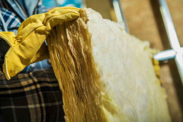Best Insulation Maintenance and Repair in Charlotte Park, FL